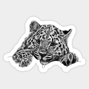 Amur leopard cub Sticker